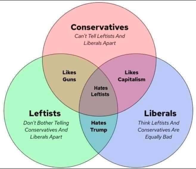 Three circles overlap in a venn diagram meme. Each circle says “Conservative - can’t tell leftists and liberals apart”, “leftists — don’t bother telling conservatives and liberals apart” and “Liberals — think leftists and conservatives are equally bad”. Conservatives overlap with leftists in that each “Likes guns”, and with liberals in that each “likes capitalism”. Leftists and Liberals overlap in that each “hates Trump”. Each three overlap in that every one “Hates Leftists”