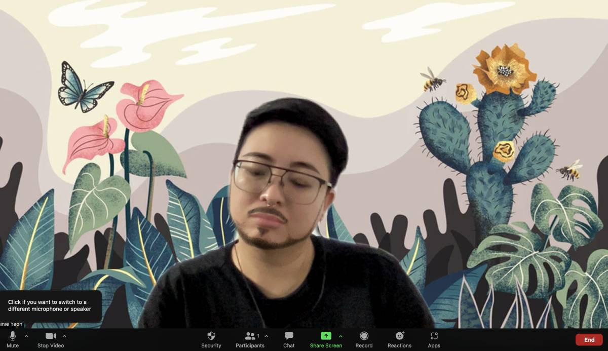 A screenshot of my Zoom window, I am sitting in front of an illustration of cacti, some hipster plants, with birds and butterflies. I am looking down, pensive, and my face has a goatee filter put on it. 